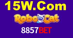 Experiência VIP 8857Bet